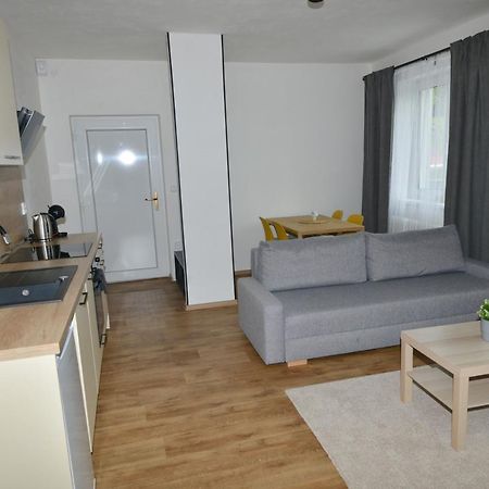 Apartmany U Peslu Železná Ruda Exteriör bild